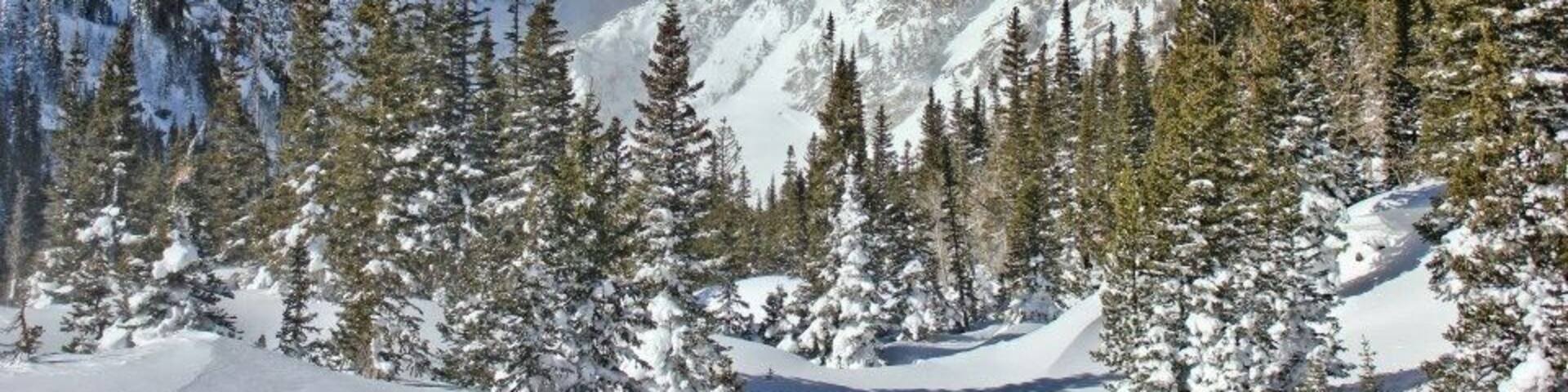 A snow-covered mountain landscape with evergreen trees and a clear blue sky.