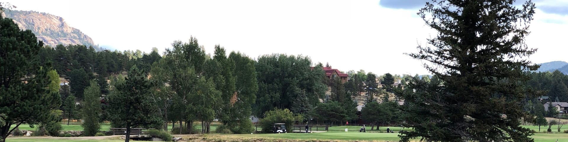 Do geese help or hinder your golf score?