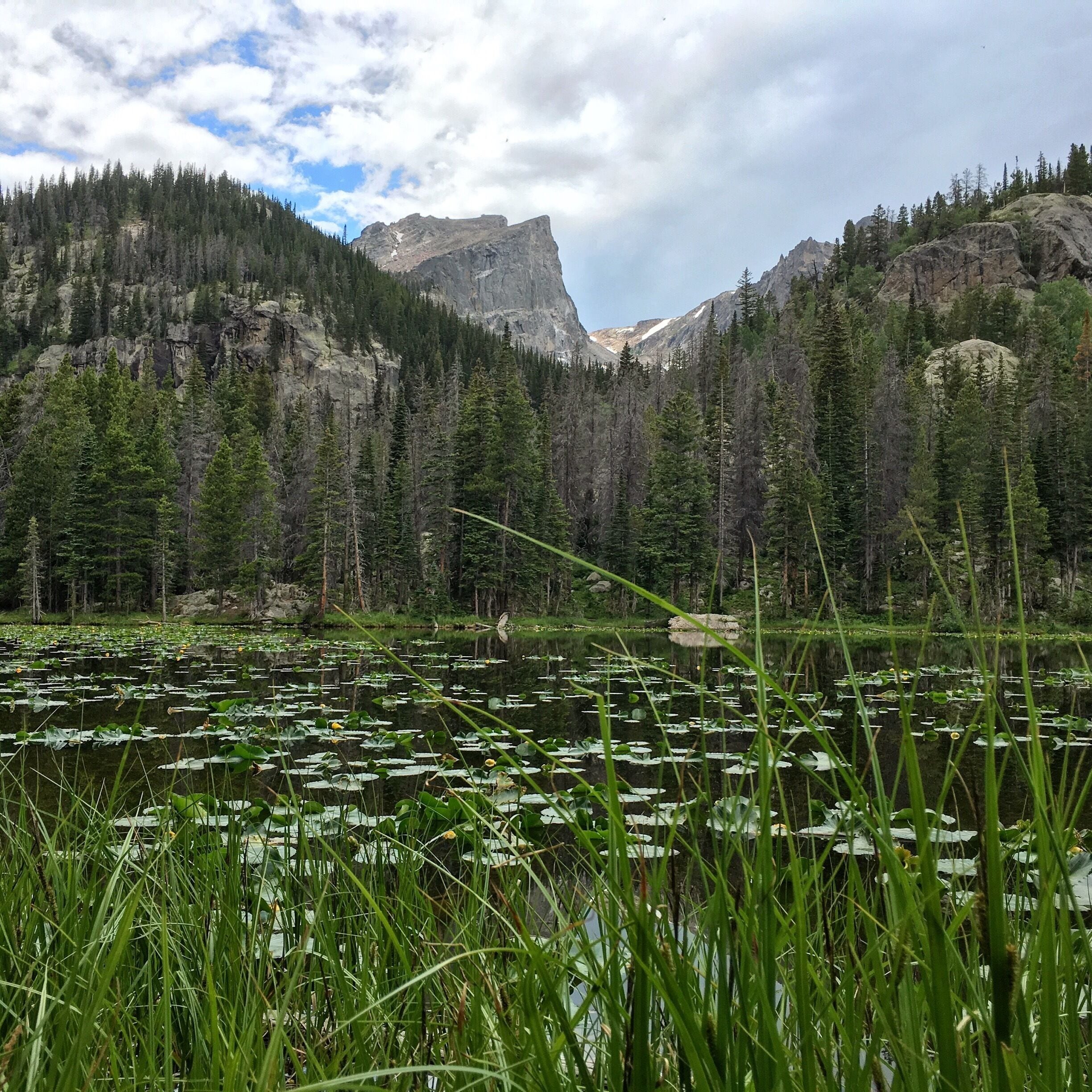 Fern Lake, Rocky Mountain National Park.  #Mountains #Rockies #Colorado