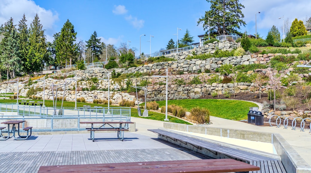 Bellevue Waterfront Park 10