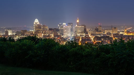 Bellevue Hill Park at Dawn