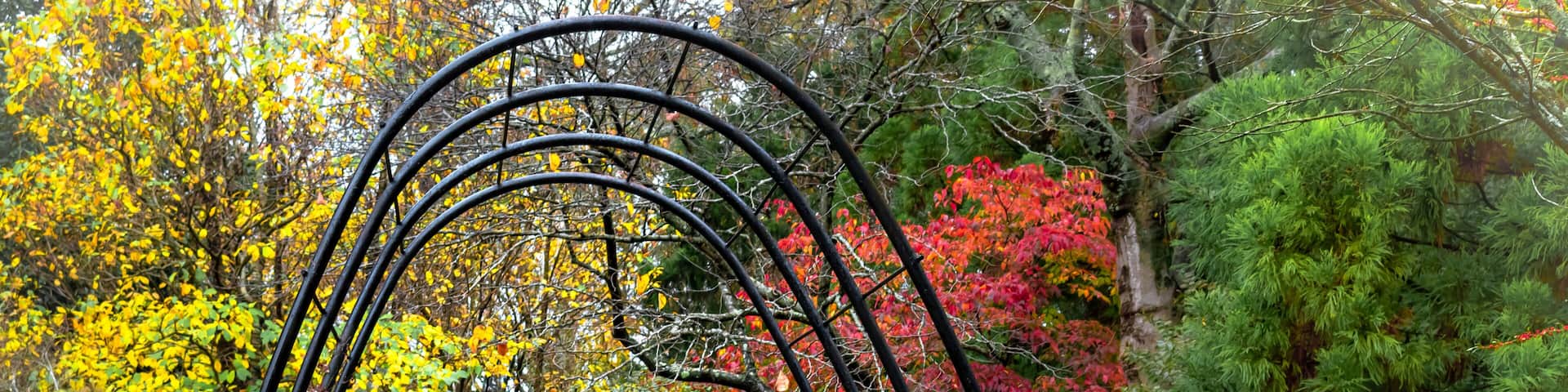 A pathway with metal arches, surrounded by trees with autumn foliage.