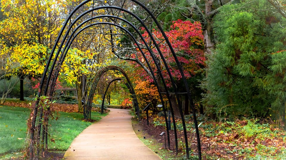 A pathway with metal arches, surrounded by trees with autumn foliage.