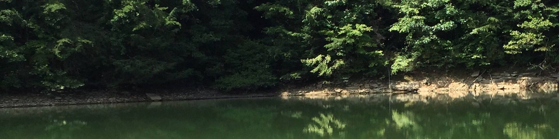 Whippoorwill Creek cove on Laurel Lake.