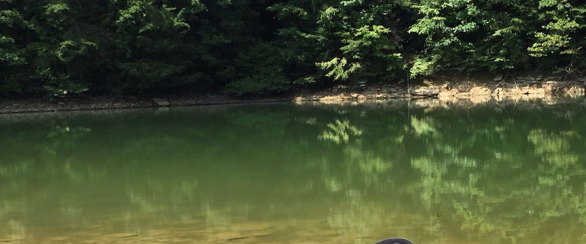 A green and blue kayak on a rocky shore by a calm river.