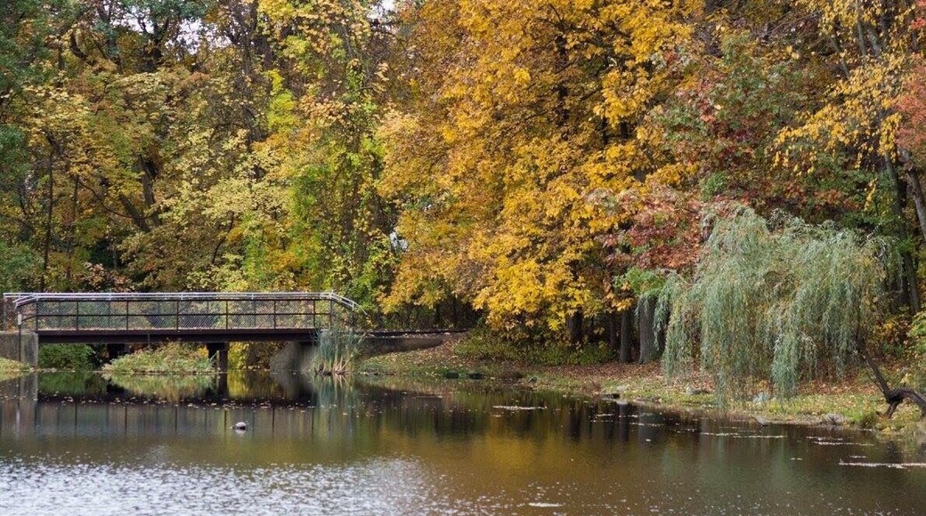 Small hiking trail, nice little lake, good birding