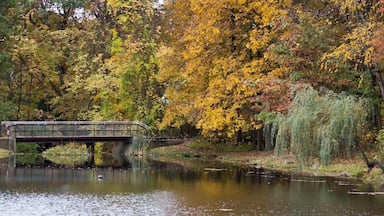 Small hiking trail, nice little lake, good birding