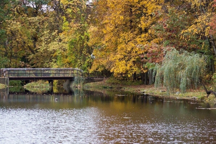 Small hiking trail, nice little lake, good birding