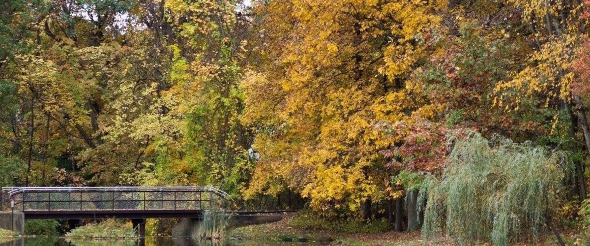 A bridge over a calm river, surrounded by autumn foliage.