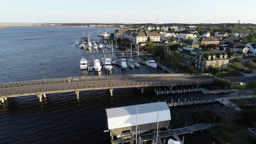 ウィリアムストン