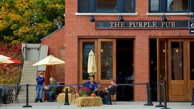 Williamstown featuring café lifestyle