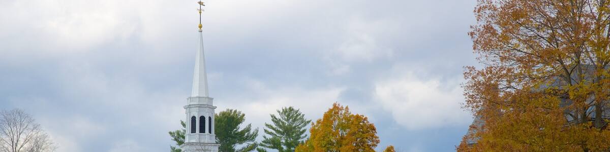 Williamstown featuring a garden and a church or cathedral