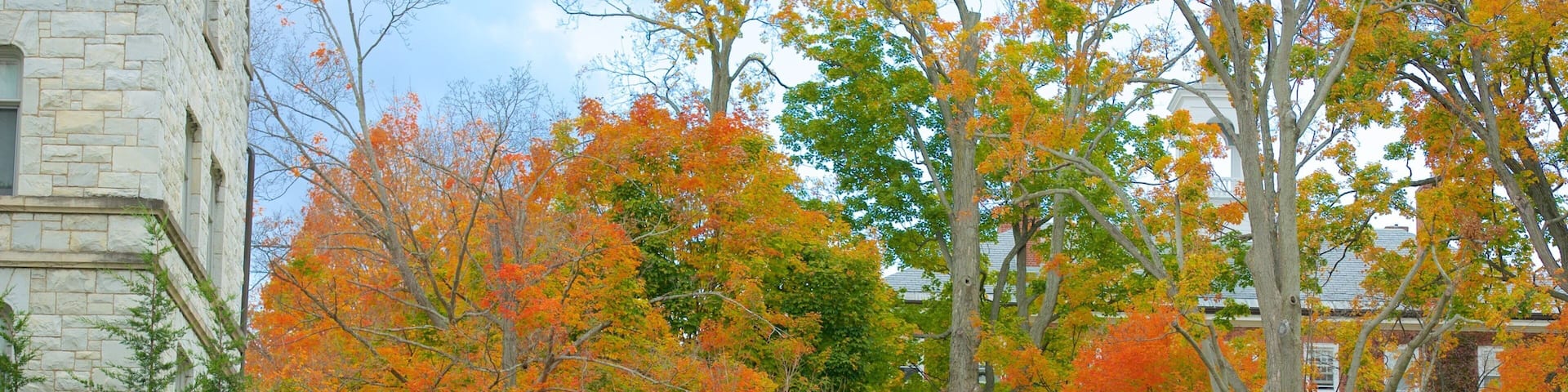 Williamstown featuring a park and autumn leaves