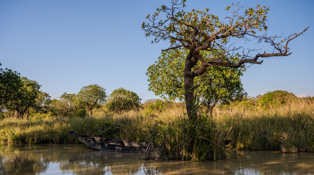 Tranquil Wetland Landscape with Boat and Lush Greenery in Gowainghat, Sylhet, Bangladesh