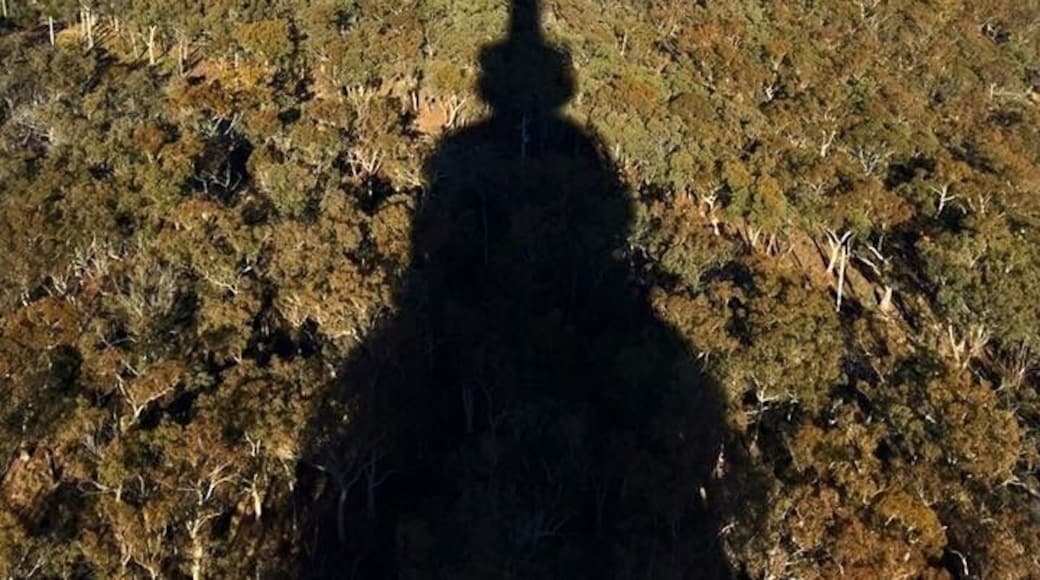 This photo was taken at the top of Telstar Tower, situated on Black Mountain in Canberra, Australia.