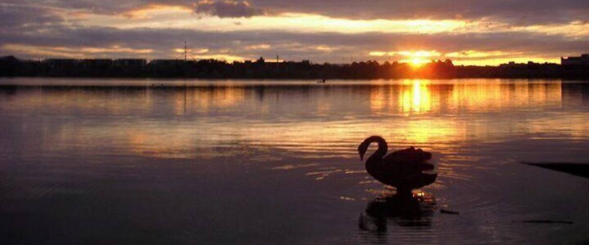 Everyone's read about Nassim Nicholas Taleb's book, Black swan, right?
Well only few have seen one!
Beautiful sunset on Canberra's lake. Nos that much visited by tourists, canberra is well worth it. it was a planned city, build from nothing at the beginning of the century. It is a cyclist paradise, with beautiful cycling lane away from traffic. Cycling round the lake can be a great weekend idea. Jogging or hiking round it can be a fantastic objective too. a bit of an oldy picture so sorry for the pixels!
#Canberra #Australia #sunset #lifeatExpedia #cycling #Swan #hiking