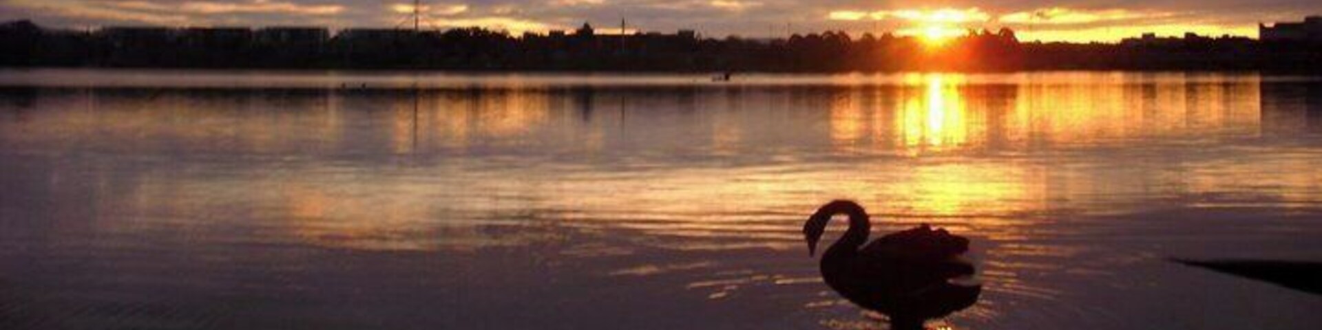 Everyone's read about Nassim Nicholas Taleb's book, Black swan, right?
Well only few have seen one!
Beautiful sunset on Canberra's lake. Nos that much visited by tourists, canberra is well worth it. it was a planned city, build from nothing at the beginning of the century. It is a cyclist paradise, with beautiful cycling lane away from traffic. Cycling round the lake can be a great weekend idea. Jogging or hiking round it can be a fantastic objective too. a bit of an oldy picture so sorry for the pixels!
#Canberra #Australia #sunset #lifeatExpedia #cycling #Swan #hiking