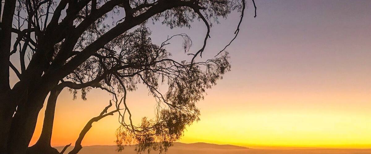 Thick fog and a winter sunrise above Canberra
#canberra #bike