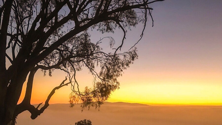 Thick fog and a winter sunrise above Canberra
#canberra #bike