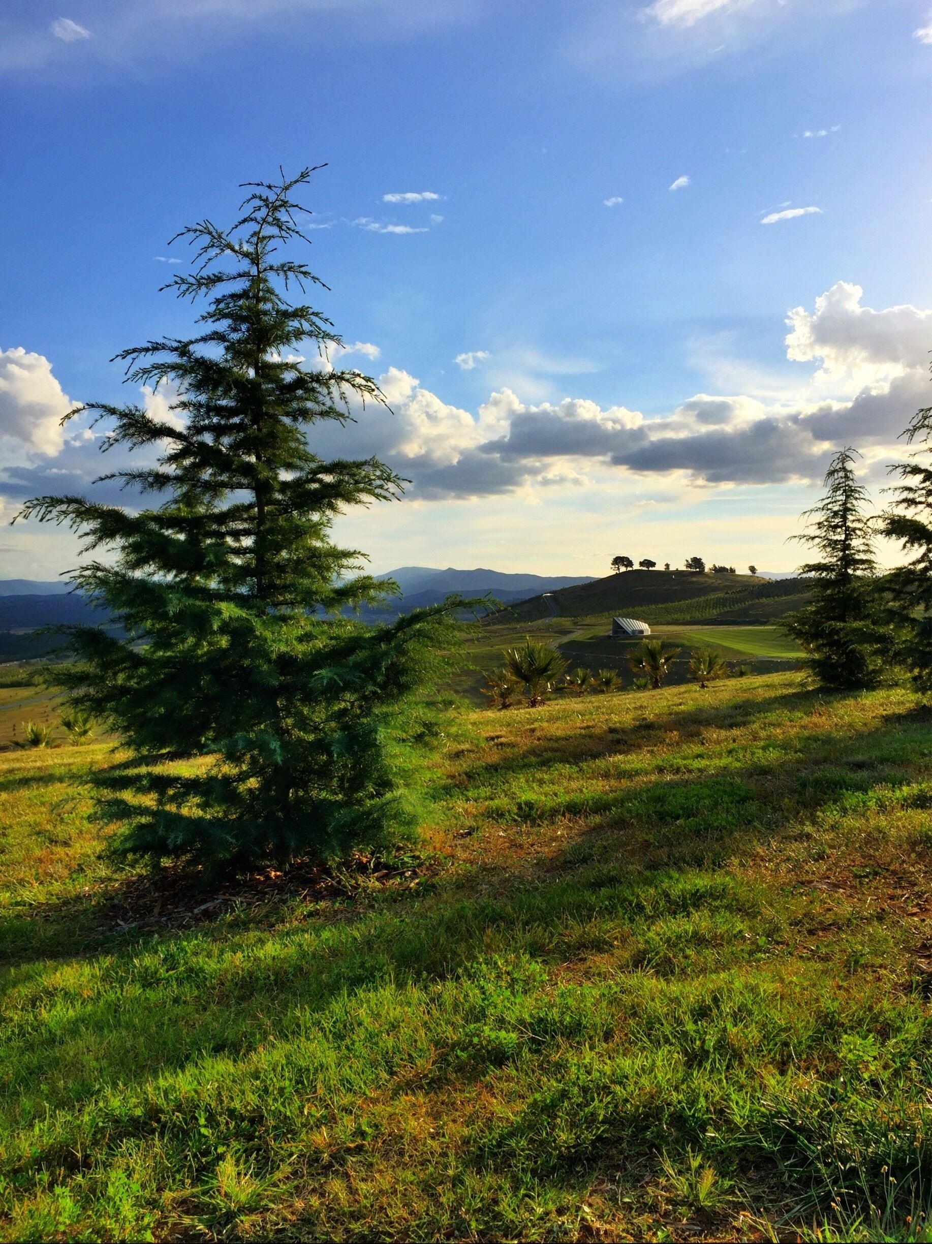 The National arboretum  in Canberra opened in February 2013. There are various vantage points where you can see the growing forests (over 100 different species). The most unmistakeable one is dairy farmers hill (in the distance) where you can experience Canberra's amazing sunsets.
