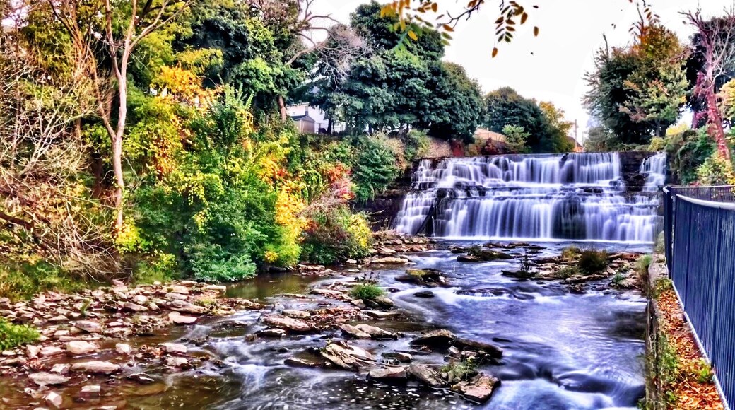 Fall at the falls at Glen Park #greatoutdoors