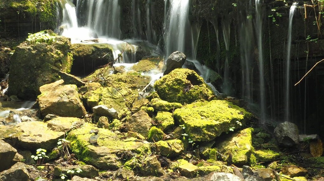 A little exploring around Glen Park will uncover a small waterfall in a quiet grotto.