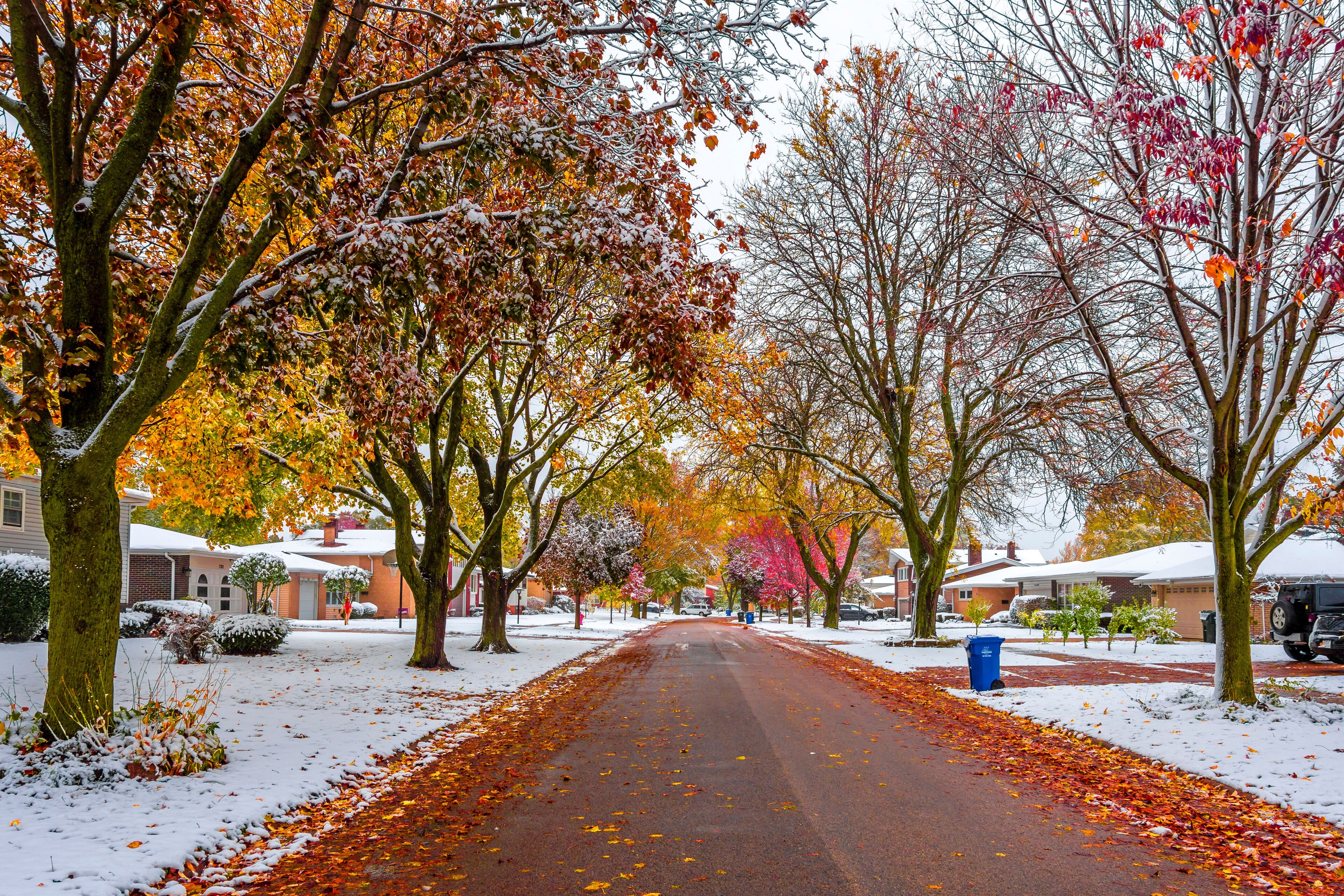 Rosemary S. Argus Friendship Park in Des Plaines Town of Illinois