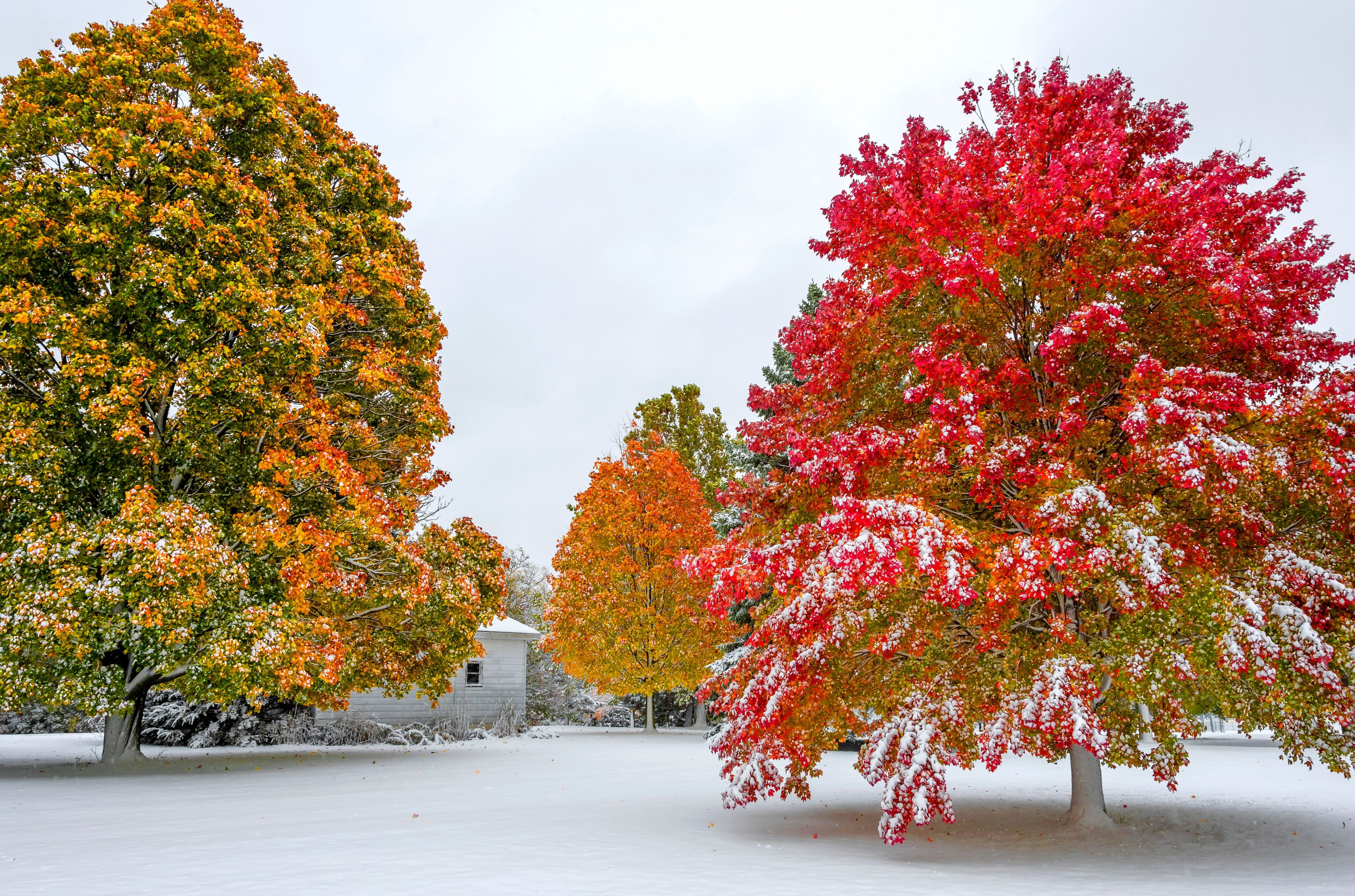 Rosemary S. Argus Friendship Park in Des Plaines Town of Illinois