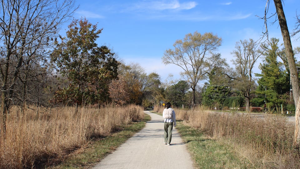 A paved path through a wooded area with trees and dry grass.