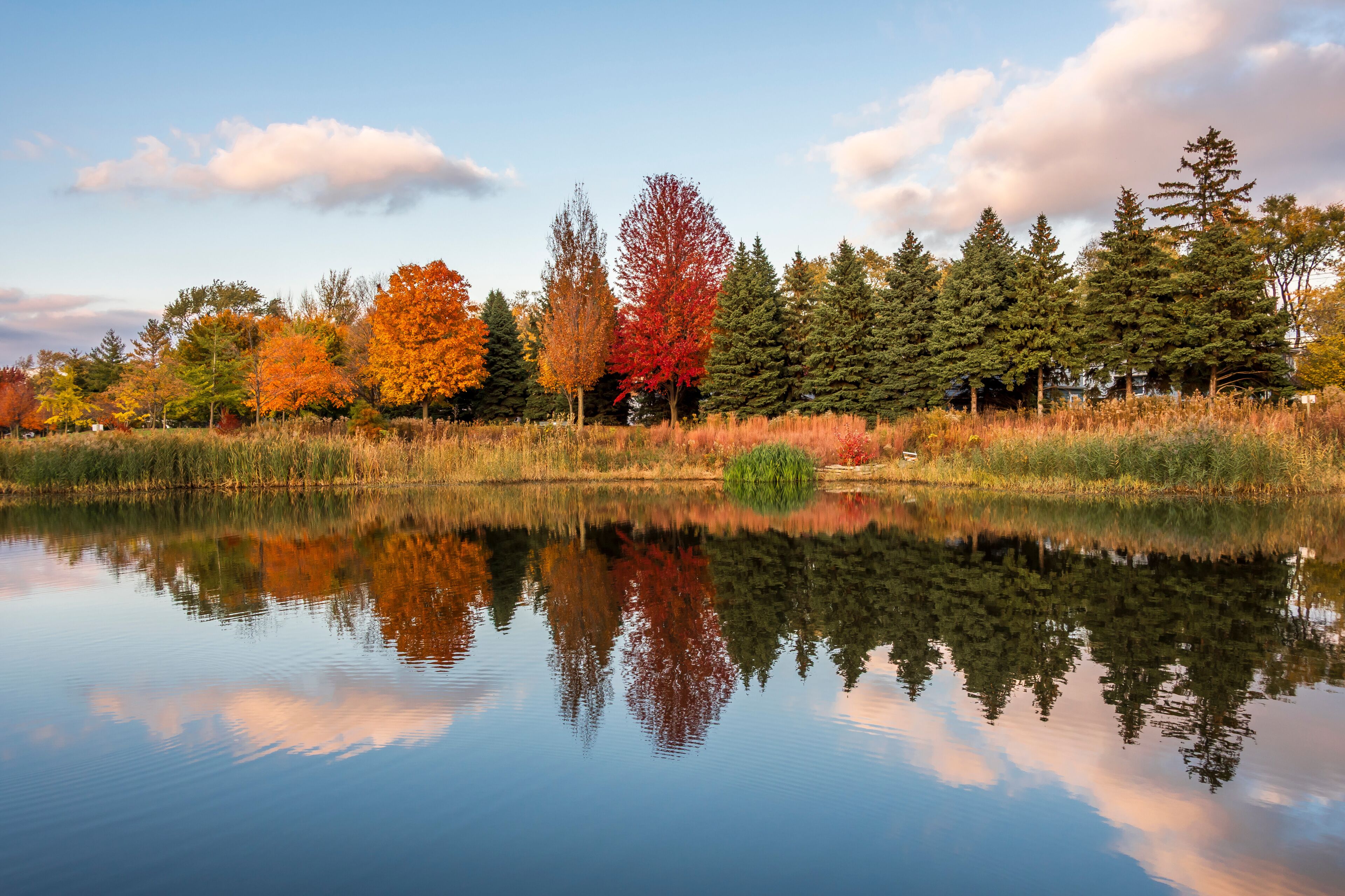 Prairie Lakes Park in Des Plaines Town of Illinois