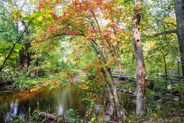 The Beaver Brook Historic Reservation is located near Waverley Square...Massachusetts A nice little day park for a quick hike