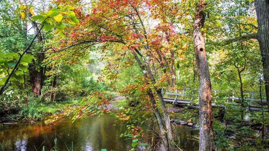 The Beaver Brook Historic Reservation is located near Waverley Square...Massachusetts A nice little day park for a quick hike