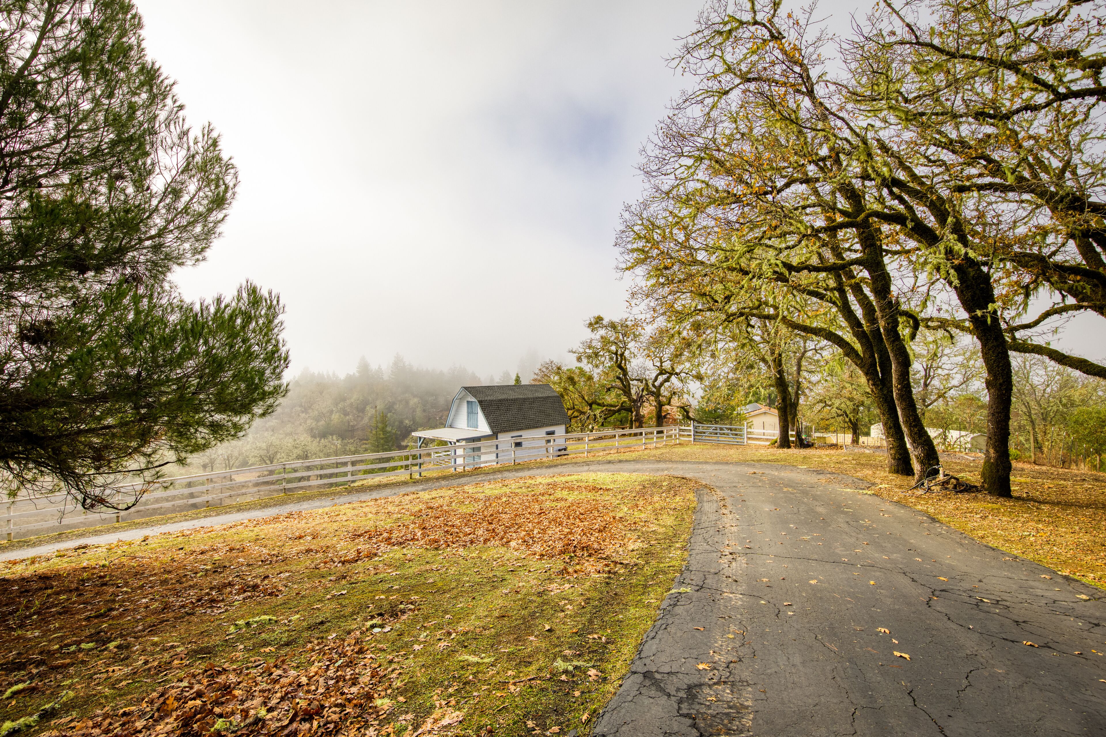 Barn, Northern California, Rural, Fall, Oak Trees, Willits, 