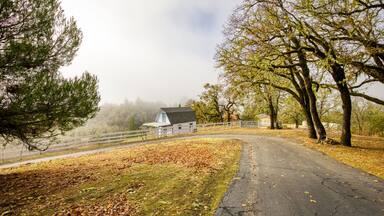 Barn, Northern California, Rural, Fall, Oak Trees, Willits,