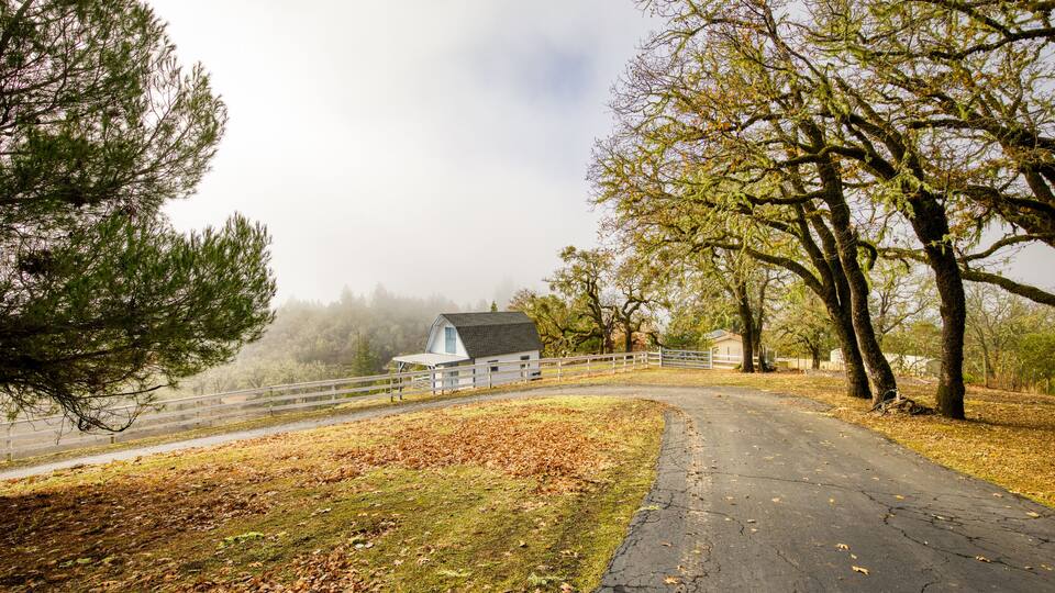 Barn, Northern California, Rural, Fall, Oak Trees, Willits,