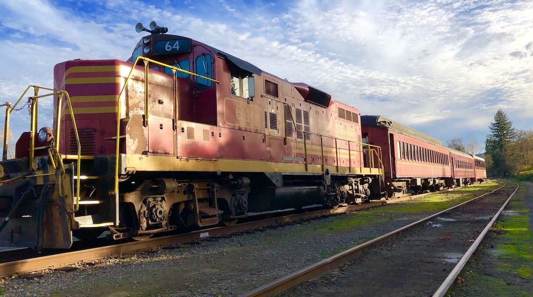 New in town. Excited to go on a trip on this train!!!