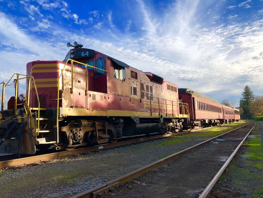 New in town. Excited to go on a trip on this train!!!