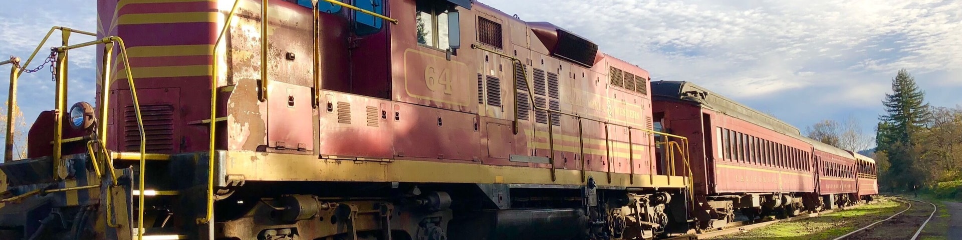 New in town. Excited to go on a trip on this train!!!