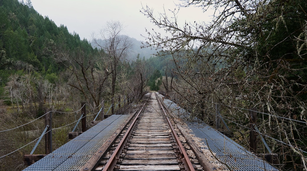 Old abandoned train tracks on bridge near Willits, CA
