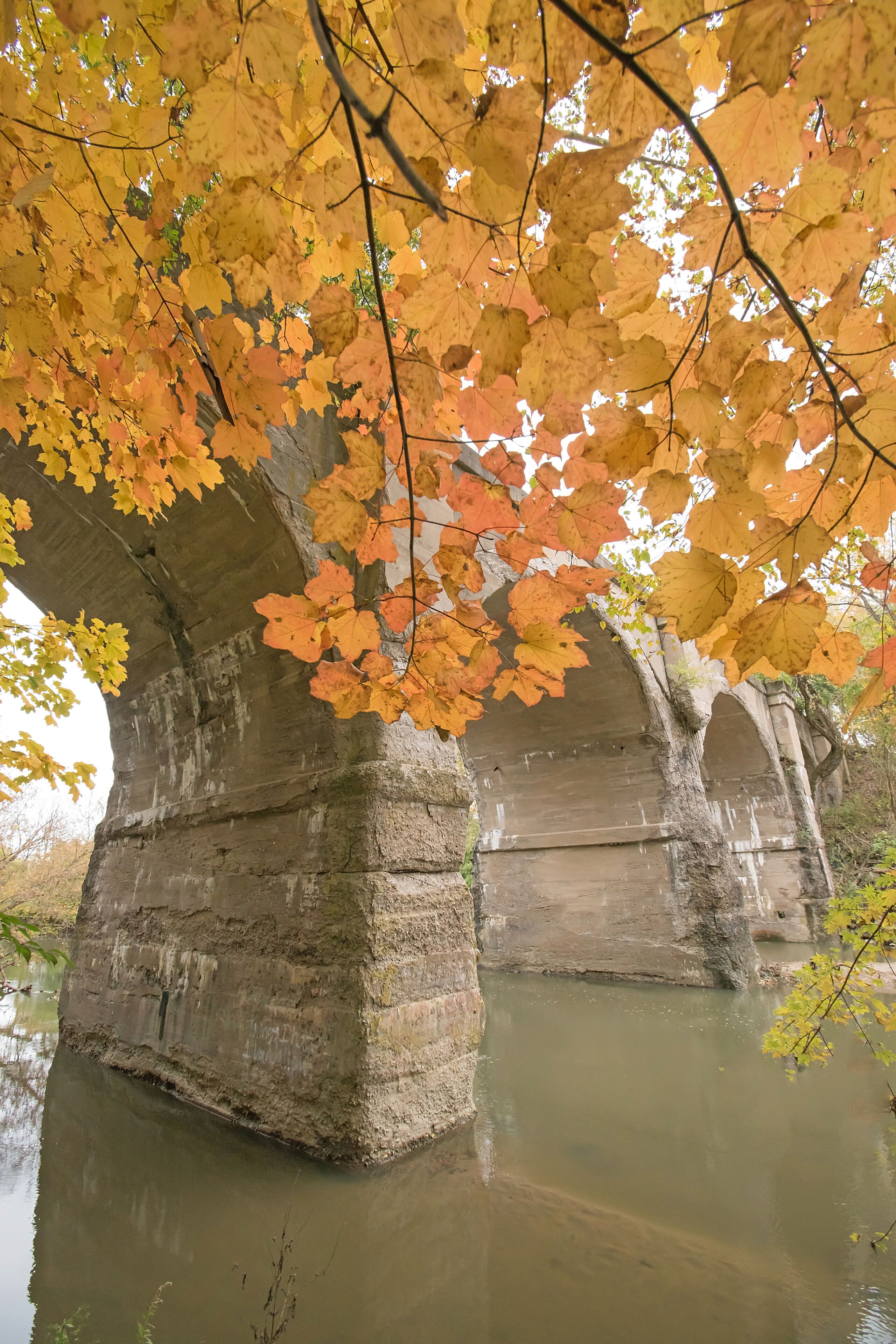 Colorful autumn leaves frame an aging concrete railroad trestle spanning Eagle Creek in Indiana.