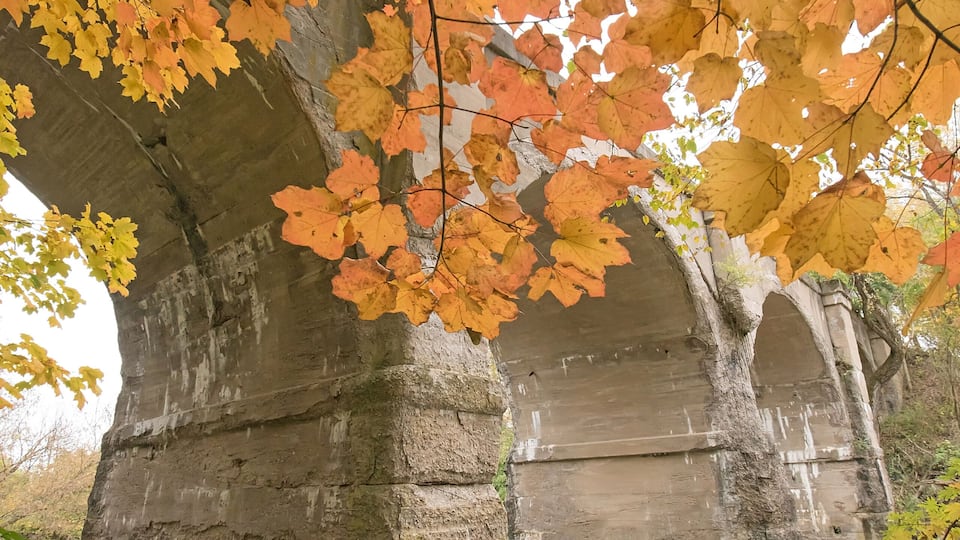 A bridge with autumn leaves, surrounded by water.
