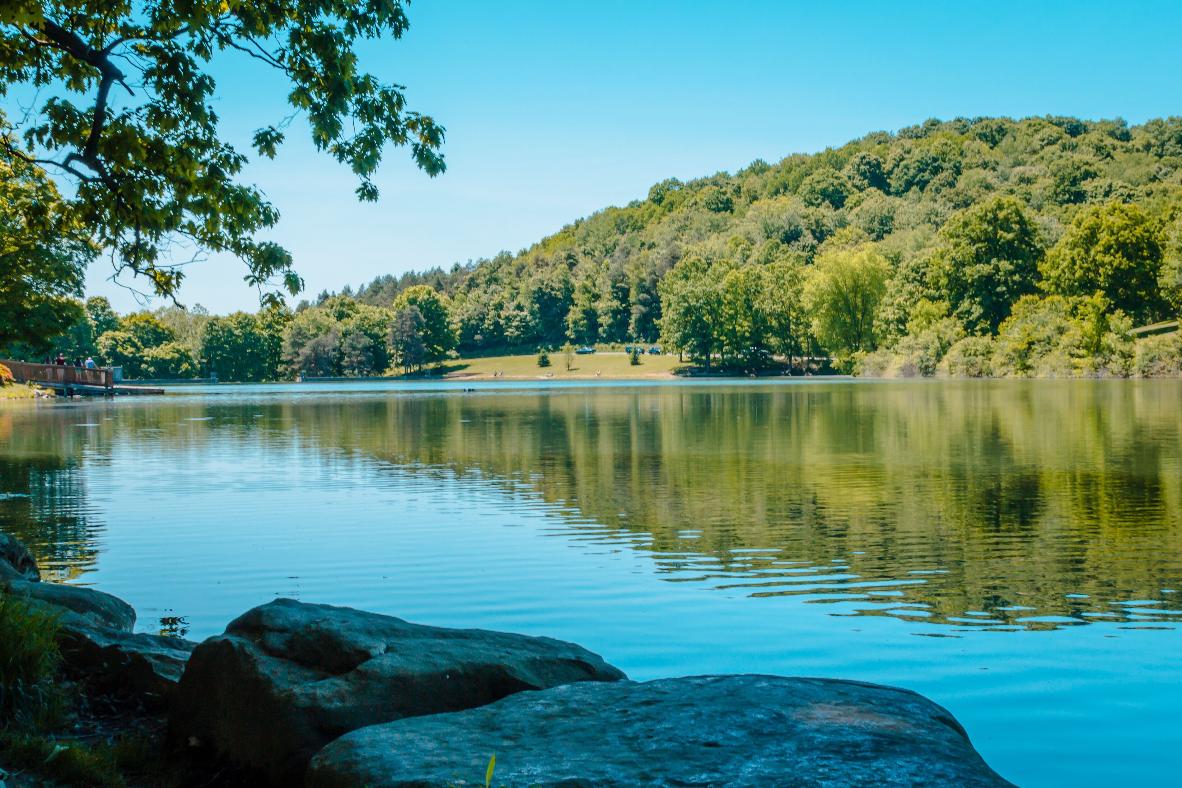 Looking out over the lake at Blue Spruce Park while a fisherman waits for a catch