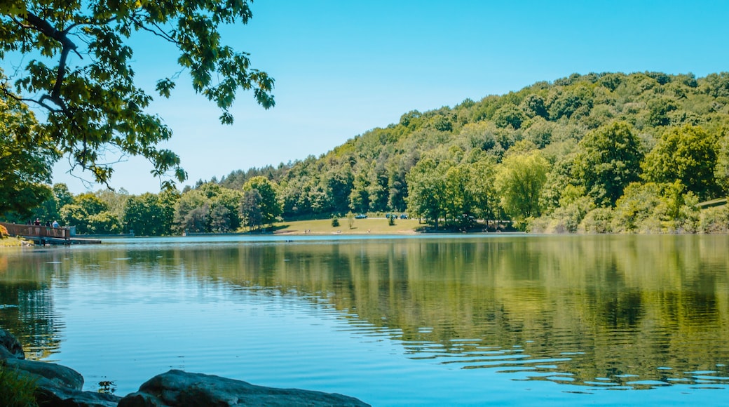 Looking out over the lake at Blue Spruce Park while a fisherman waits for a catch