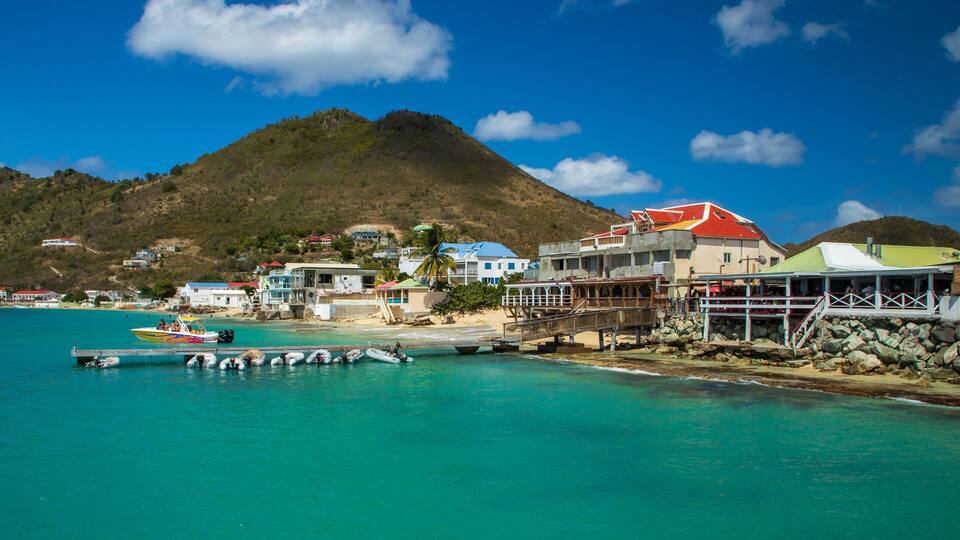A coastal town with buildings, a dock with boats, and a mountain in the background.
