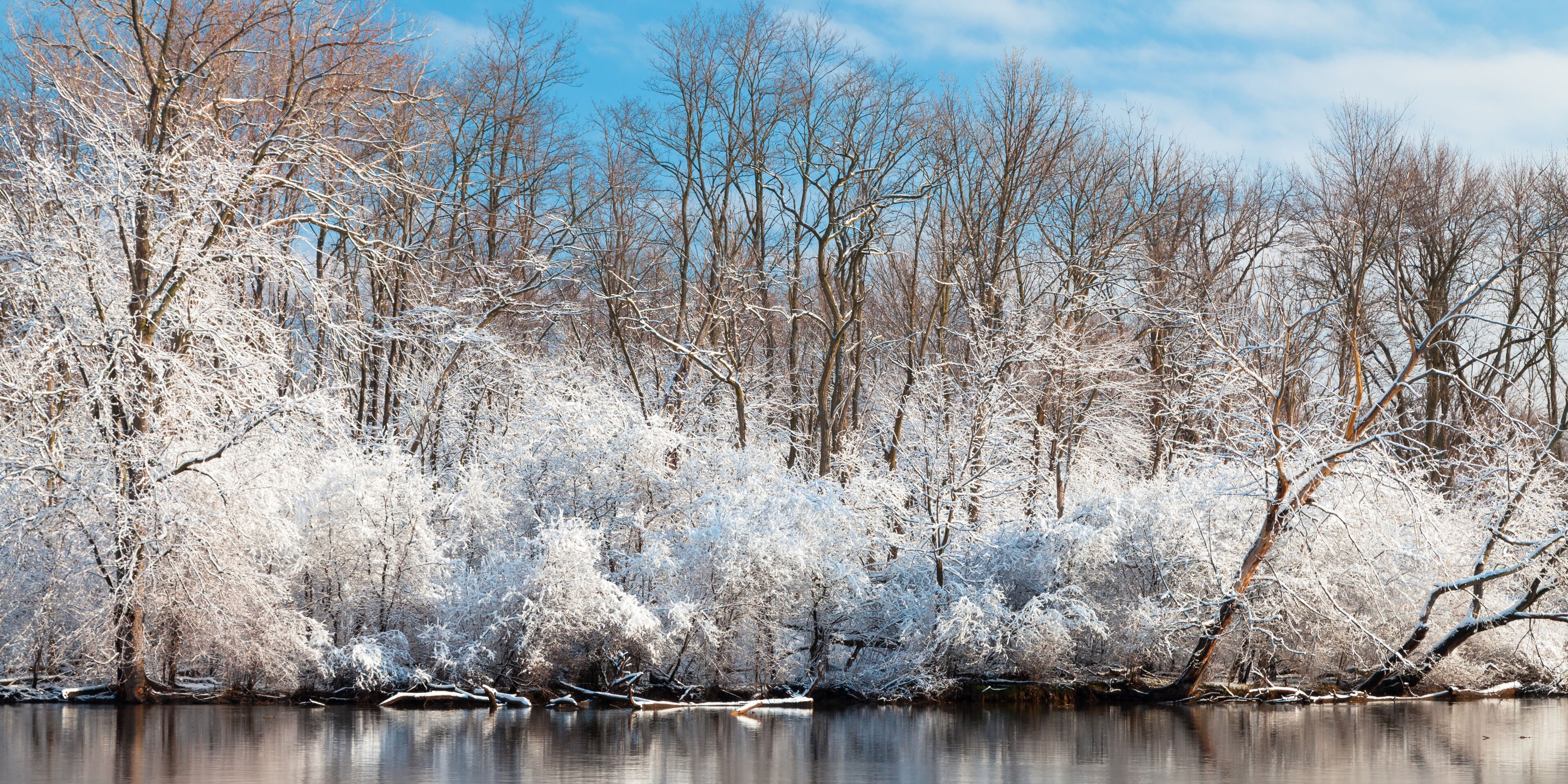 A spring snow shower covers the woods in McDowell Grove in a blanket of snow. Naperville, IL..IL-090405-0004