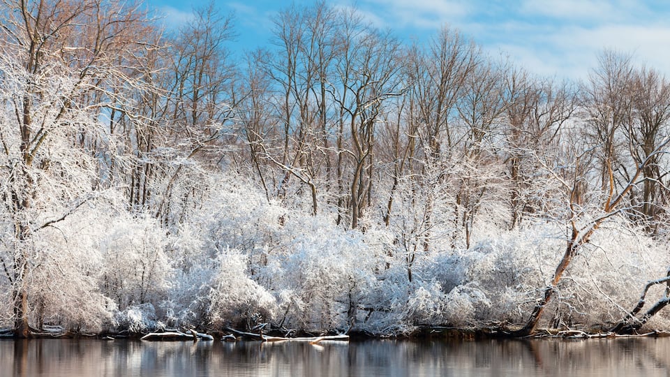 A frozen river surrounded by dense, leafless trees.