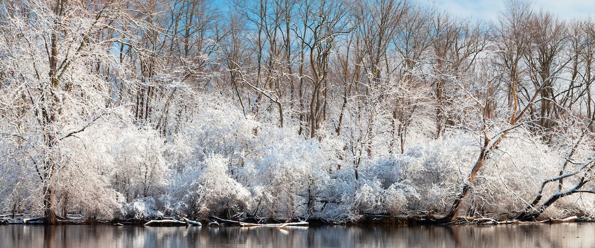 A frozen river surrounded by dense, leafless trees.