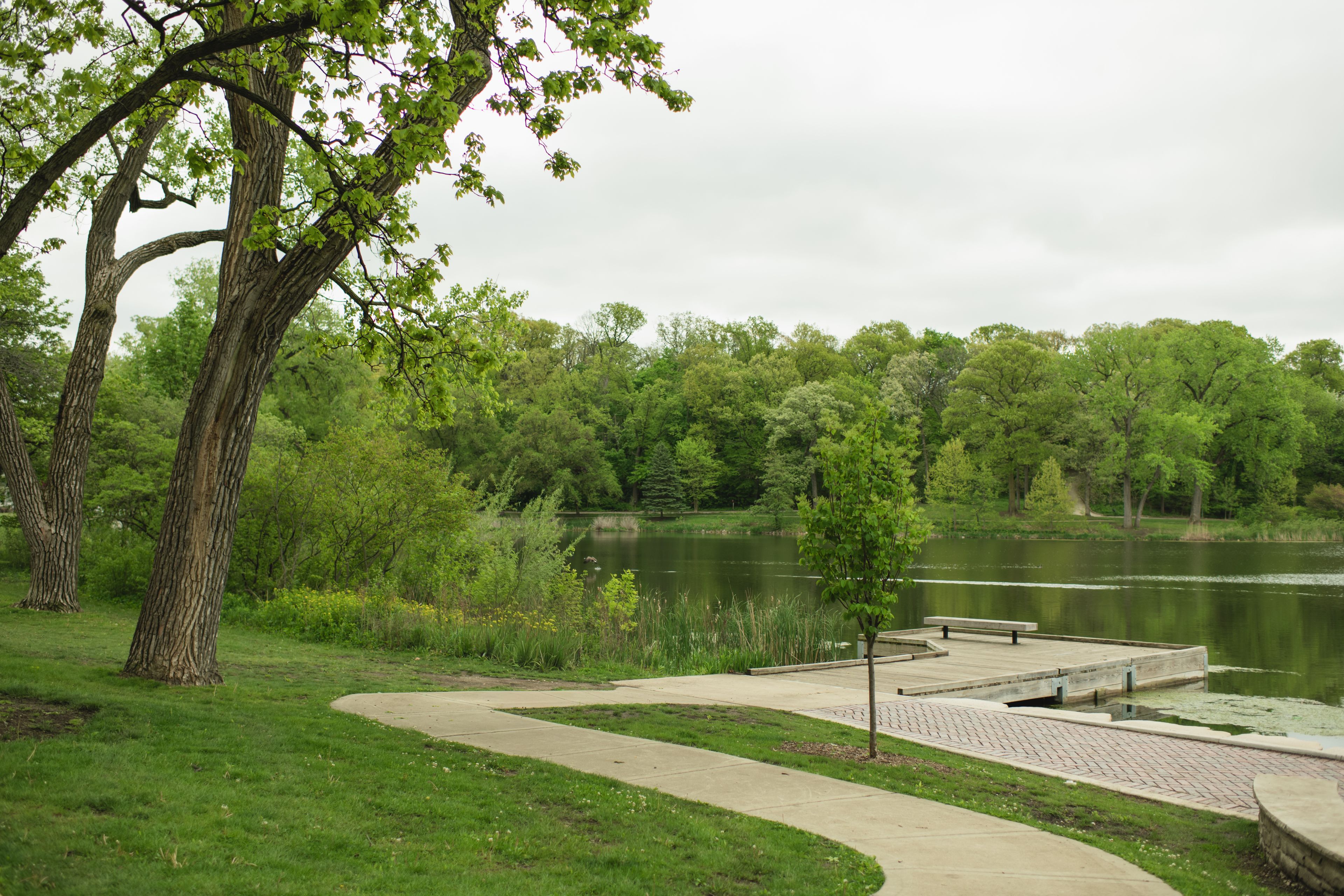 A park with a lake, pathways, and trees.