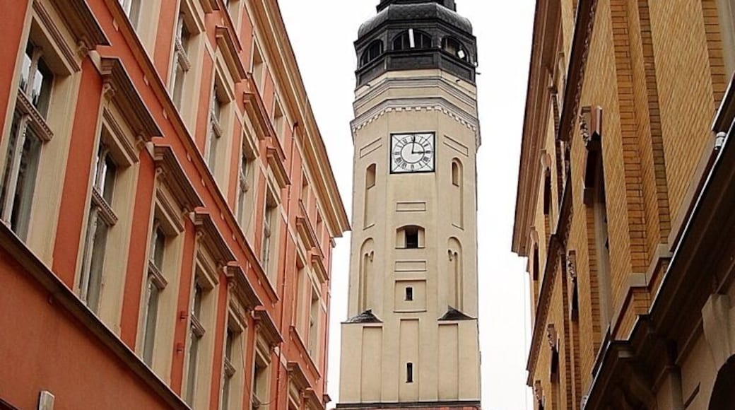 Poland. Zielona Góra . Town Hall