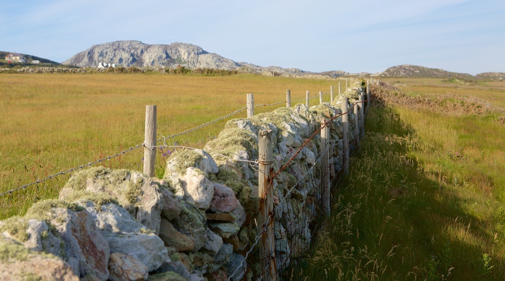 Isle of Anglesey featuring farmland